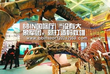 BBIN下载